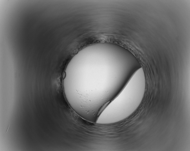 X0000096220611200801181031