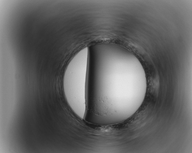 X0000096220612200801181031