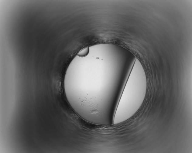 X0000096220615200801181031