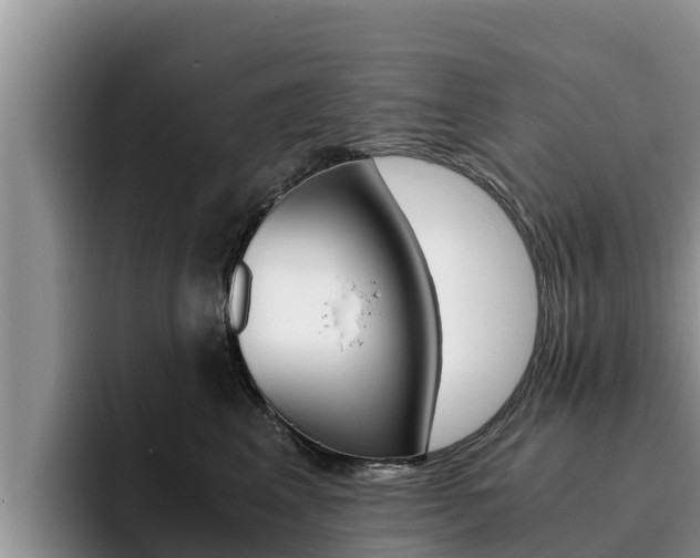 X0000096220617200801181031