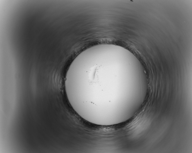 X0000096220619200801181031