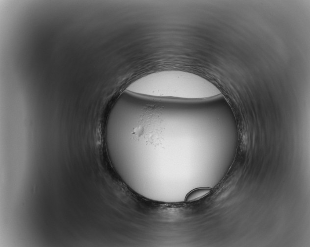 X0000096220620200801181031