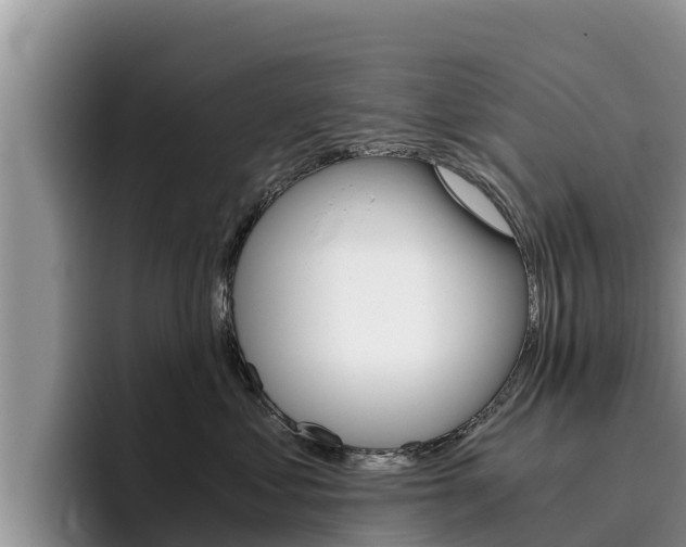 X0000096220621200801181031