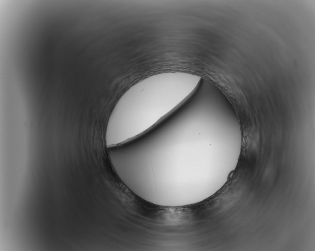 X0000096220623200801181030