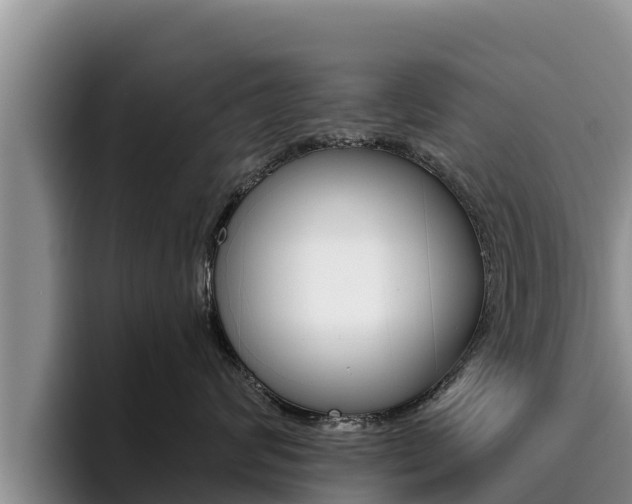 X0000096220624200801181030
