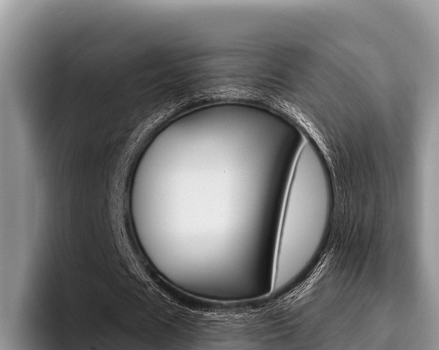 X0000096220625200801181030