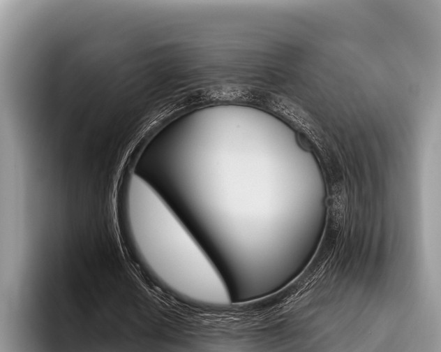 X0000096220626200801181030