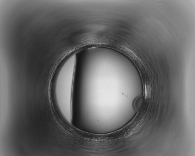 X0000096220627200801181030