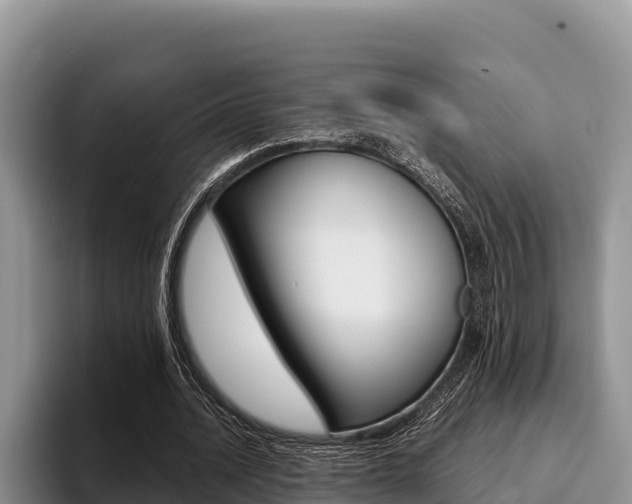 X0000096220628200801181030