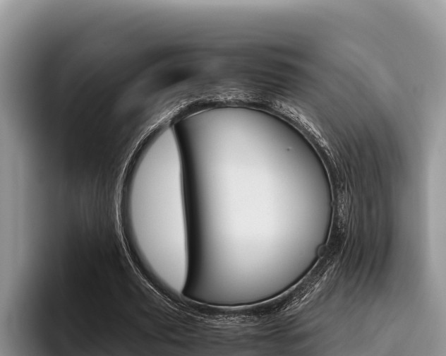 X0000096220629200801181030