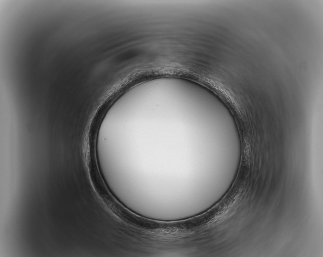 X0000096220630200801181030