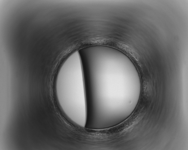 X0000096220633200801181030