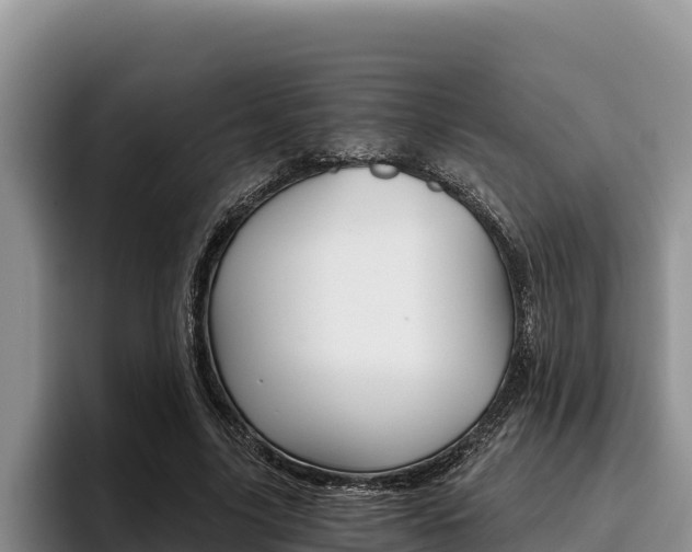 X0000096220635200801181030
