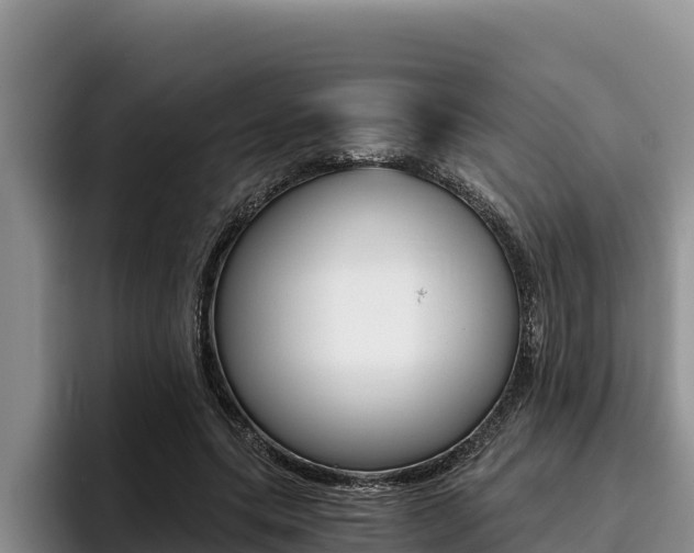 X0000096220639200801181030