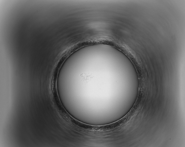 X0000096220640200801181030