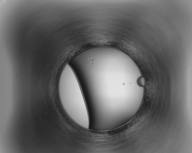 X0000096220642200801181030