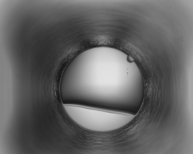 X0000096220643200801181030