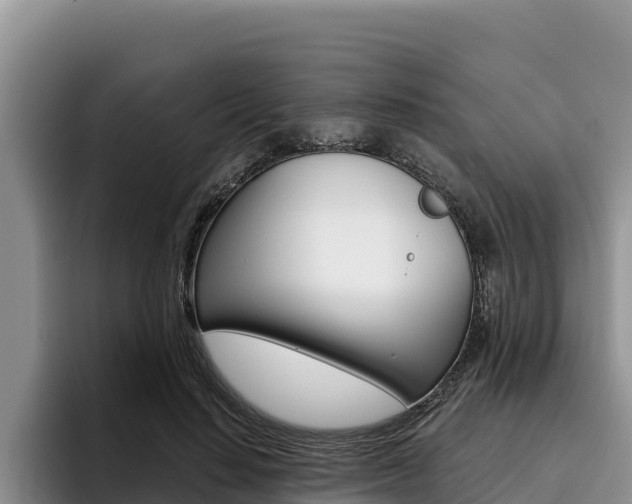X0000096220644200801181030