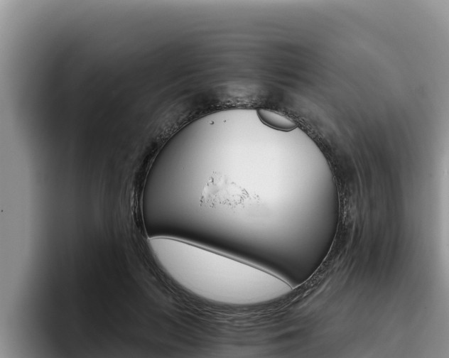 X0000096220647200801181030