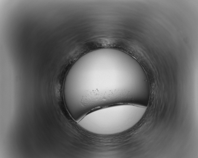 X0000096220650200801181030