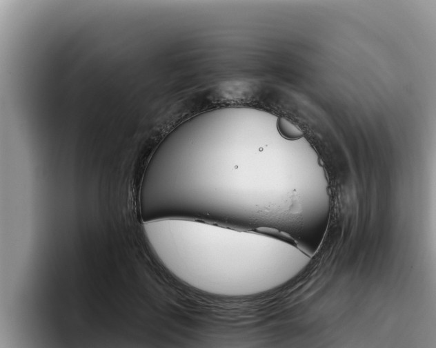 X0000096220651200801181030