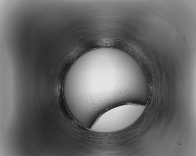 X0000096220652200801181030