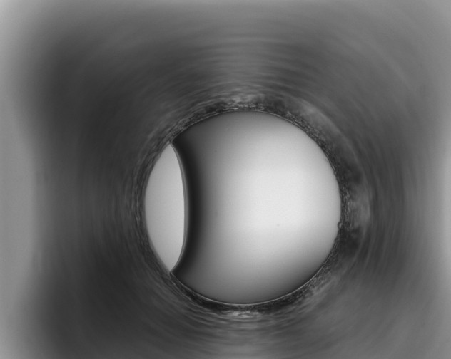 X0000096220654200801181030