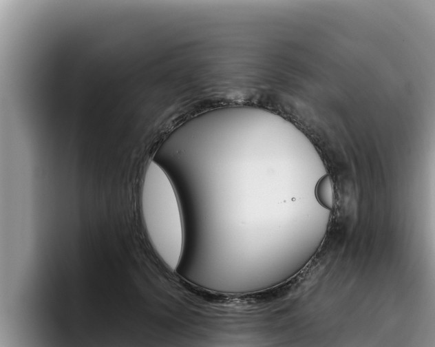 X0000096220656200801181030