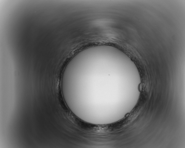 X0000096220660200801181030