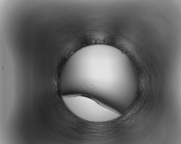 X0000096220661200801181030