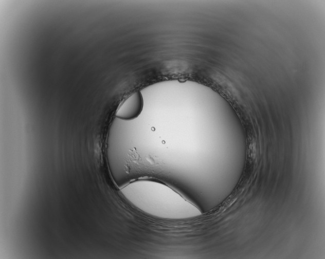 X0000096220662200801181030