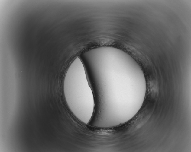 X0000096220664200801181030