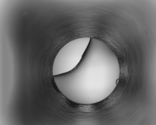X0000096220671200801181030