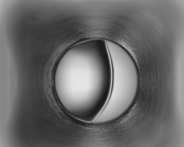 X0000096220673200801181030