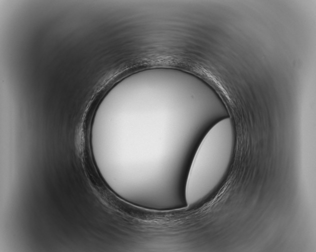 X0000096220674200801181030