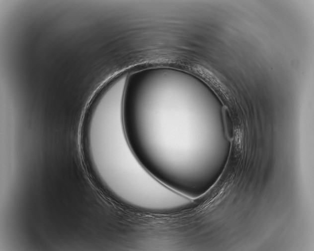 X0000096220676200801181030