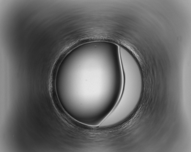 X0000096220677200801181030