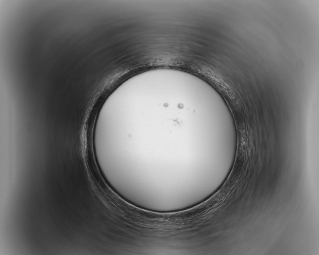 X0000096220678200801181030