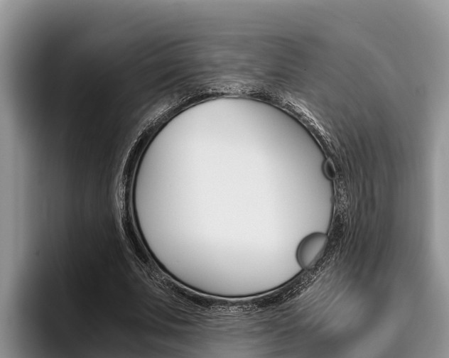 X0000096220679200801181030