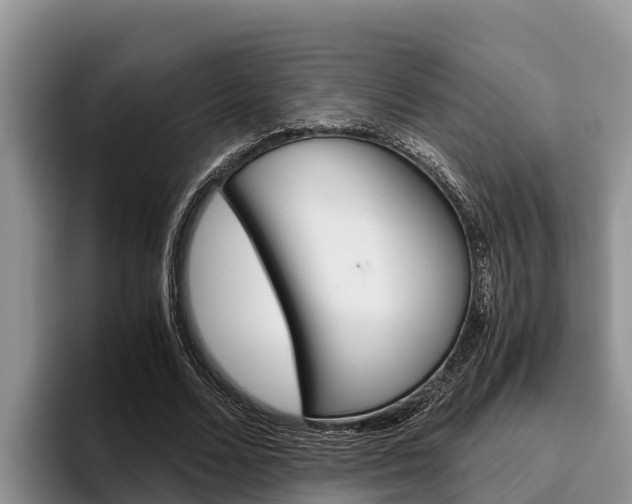 X0000096220680200801181030