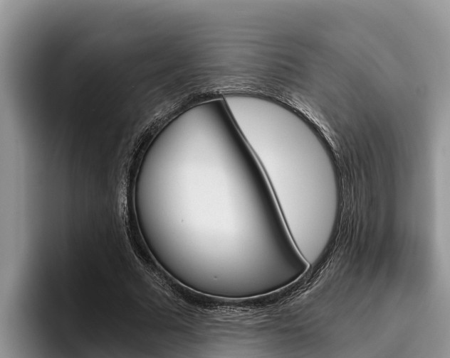 X0000096220681200801181030