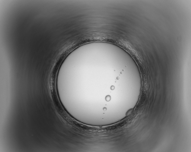 X0000096220683200801181030