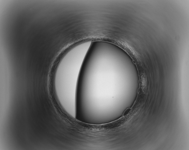 X0000096220684200801181030
