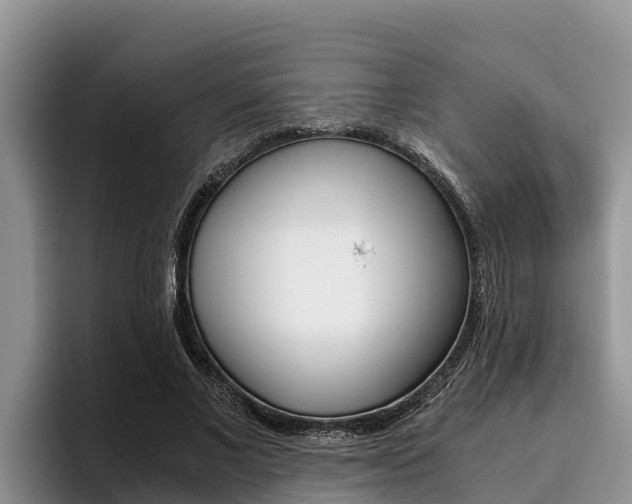 X0000096220685200801181030