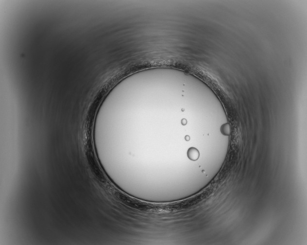 X0000096220687200801181030