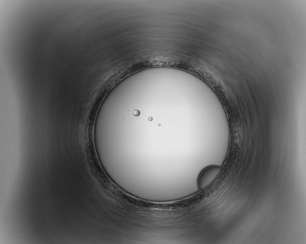 X0000096220690200801181030