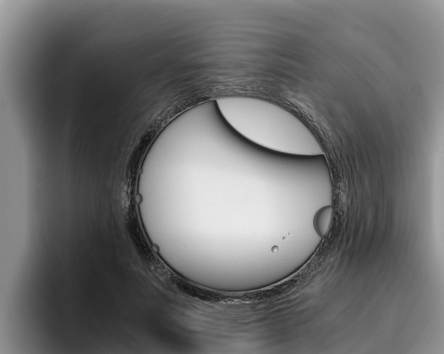 X0000096220691200801181030
