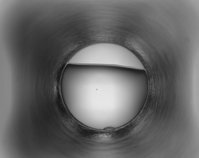 X0000096220692200801181030