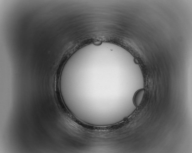 X0000096220694200801181030