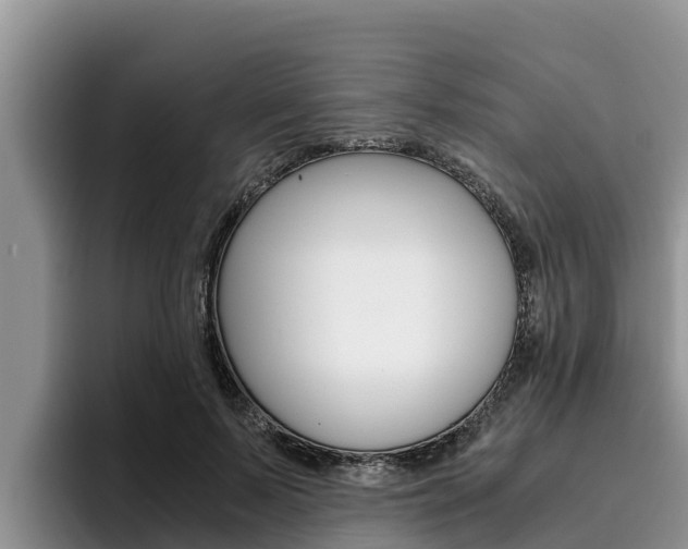 X0000096220695200801181030